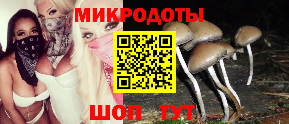 Галлюциногенные грибы прущие грибы  Галлюциногенные грибы прущие грибы  Кольчугино  Вход с VPN 